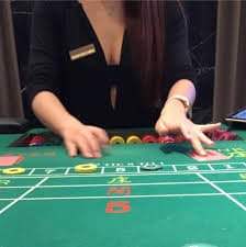 444bd